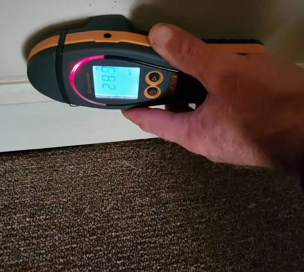 Moisture detection at baseboard during Mold Inspection & Testing in Nibley